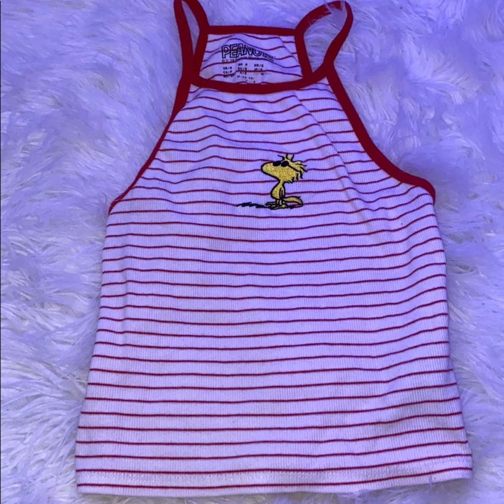 Peanuts Stripped Crop Top